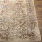 Livabliss Aspendos APS-2318 Machine Crafted Area Rug APS2318-23 - alternate 4